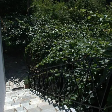 Apartament Oasis Chorefton