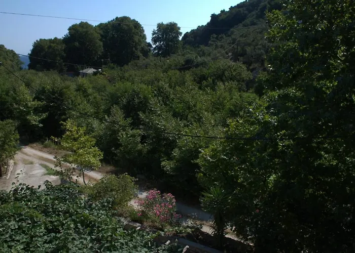 Oasis Apartment Chorefton