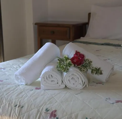 Apartment Oasis Chorefton